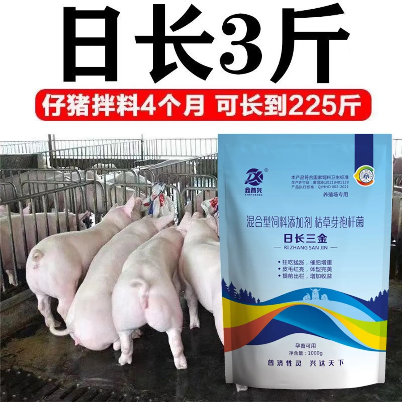 日长三金【猪圆环病毒病药】猪消化不良是什么病