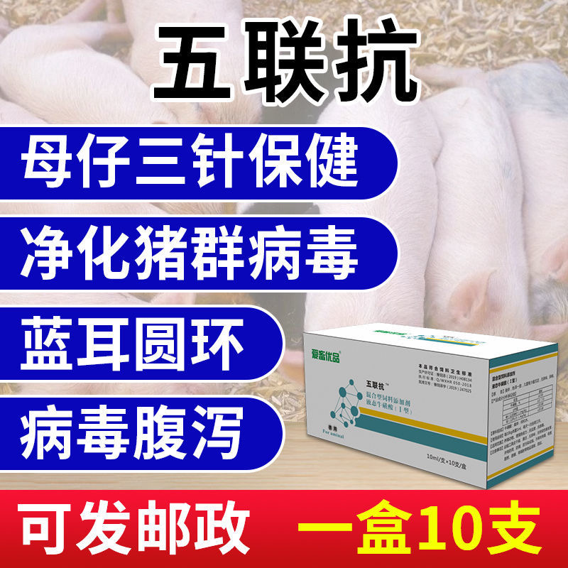 五联抗【猪圆环病毒特效药】猪反复发烧是什么病
