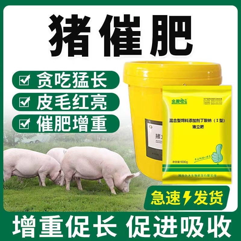猪立肥【猪布鲁氏杆菌怎么治疗】猪脱毛特效药